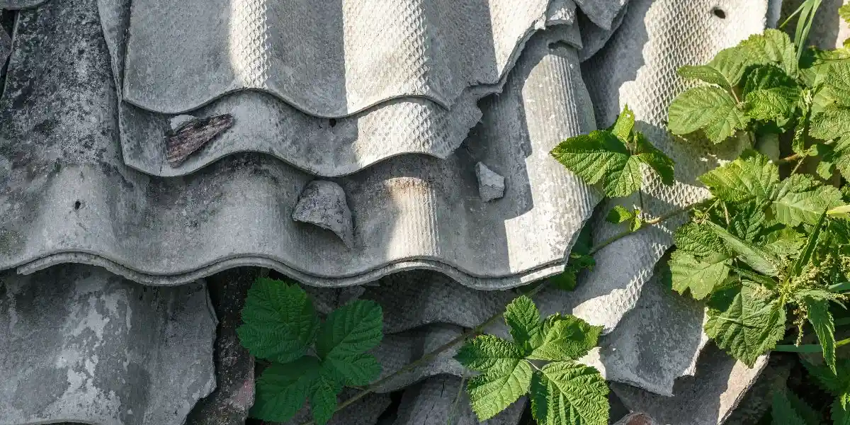 Ardoise amiante reconnaître le fibrociment amiante toiture